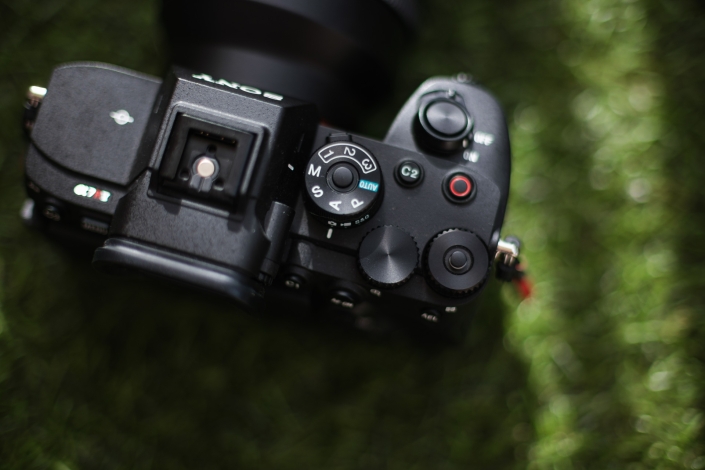 D850 vs A7RV 002 Web 2